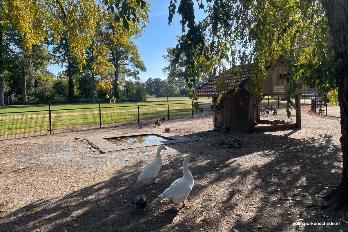 Dieren Volkspark